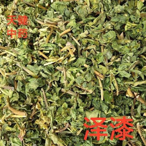 泽漆中药材五朵云猫眼草五凤草灯台草烂肠草五点草500克新鲜干货