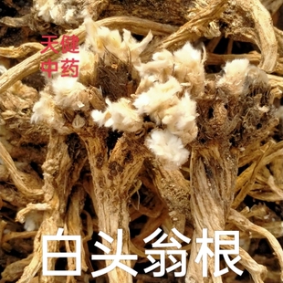 野生白头翁正宗中药白头翁根头疼花毛姑朵花老婆子花老公花野丈人