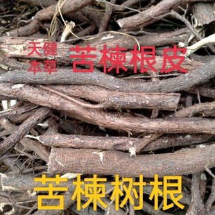 苦楝根中药材苦楝树根皮楝根皮楝根白皮苦楝树皮苦楝叶苦楝子根