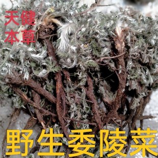 委陵菜中药材翻白草白头翁龙牙草天青地白蛤蟆草老鸦爪干货250克