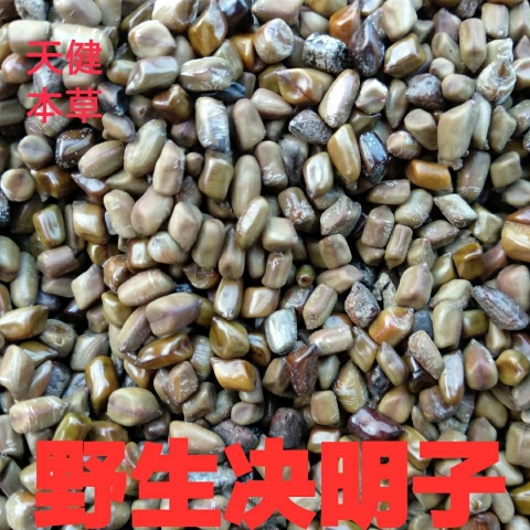 决明子中药材马蹄决明草决明野花生夜关门千里光羊角