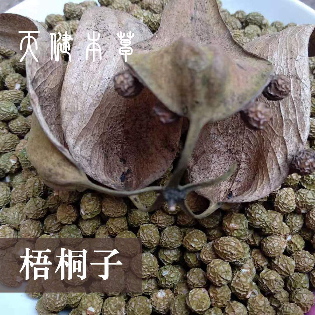 梧桐子 纯天然野生中药材梧桐籽瓢儿果桐麻豌500克新鲜干货包邮