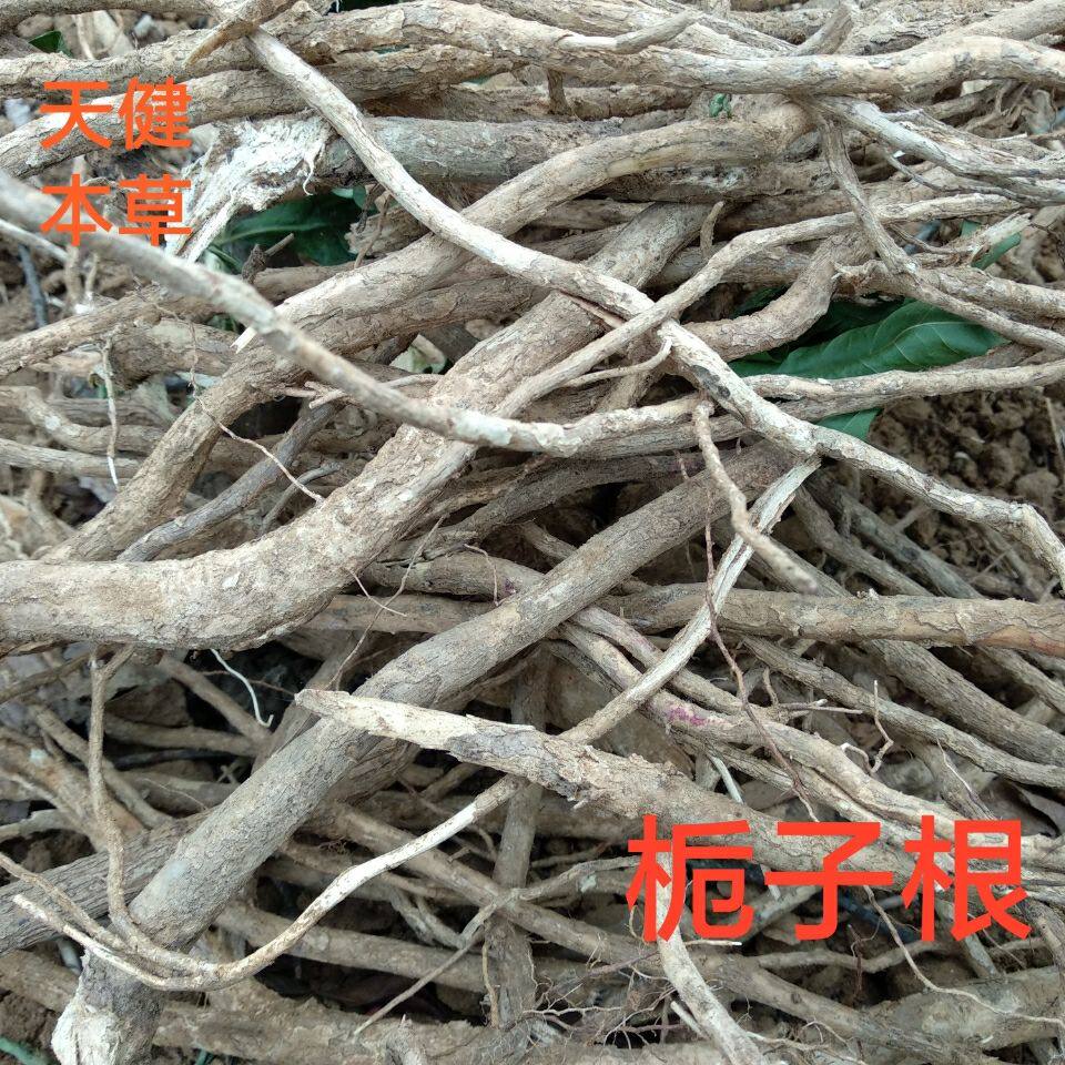 栀子根中药材栀子花根茜草科山栀子根500克新鲜干货包邮