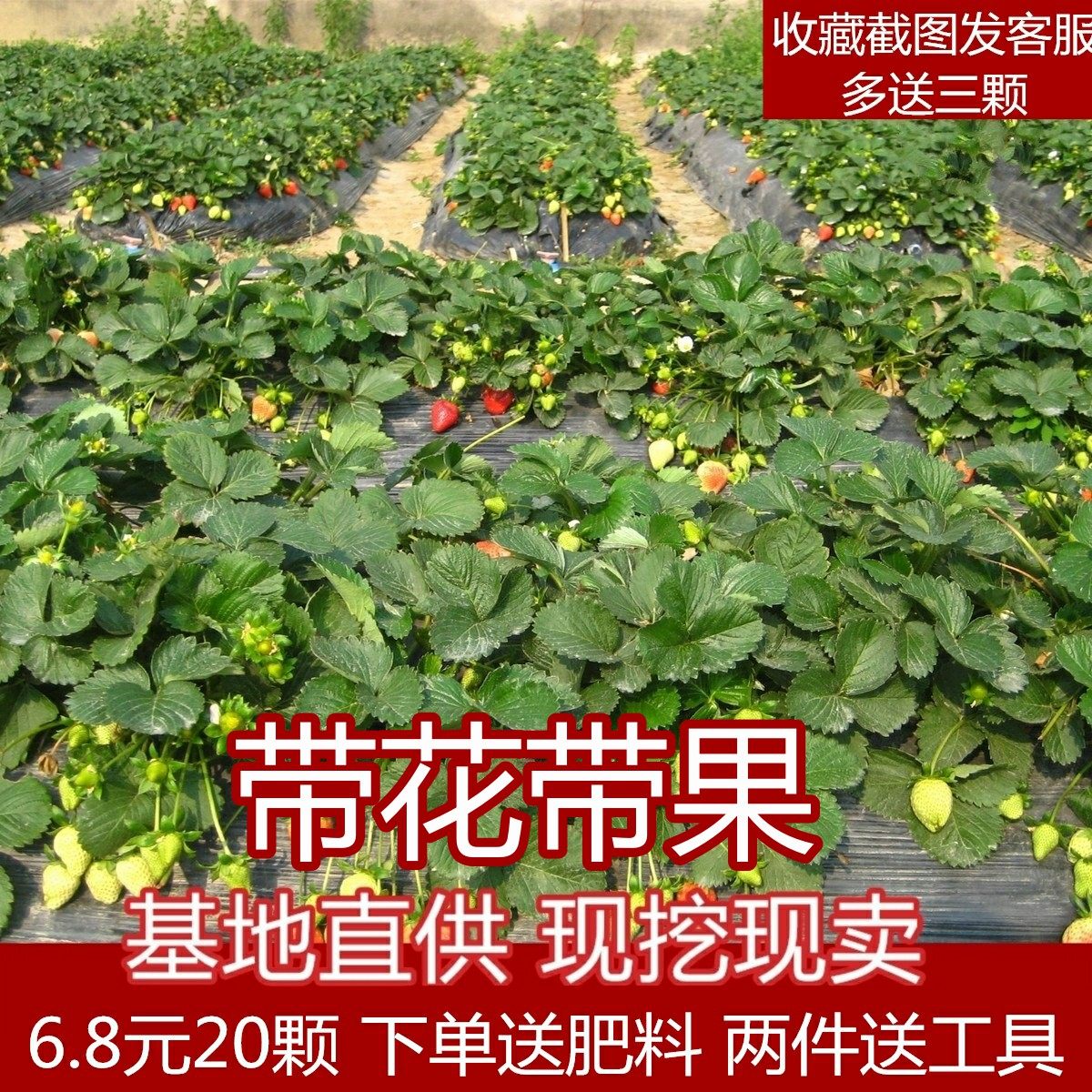 网友分享在meiguo.com的图片