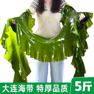 美丽海鲜小铺 盐渍海带5斤箱 凉拌火锅食材包饭菜整条非干货煲汤