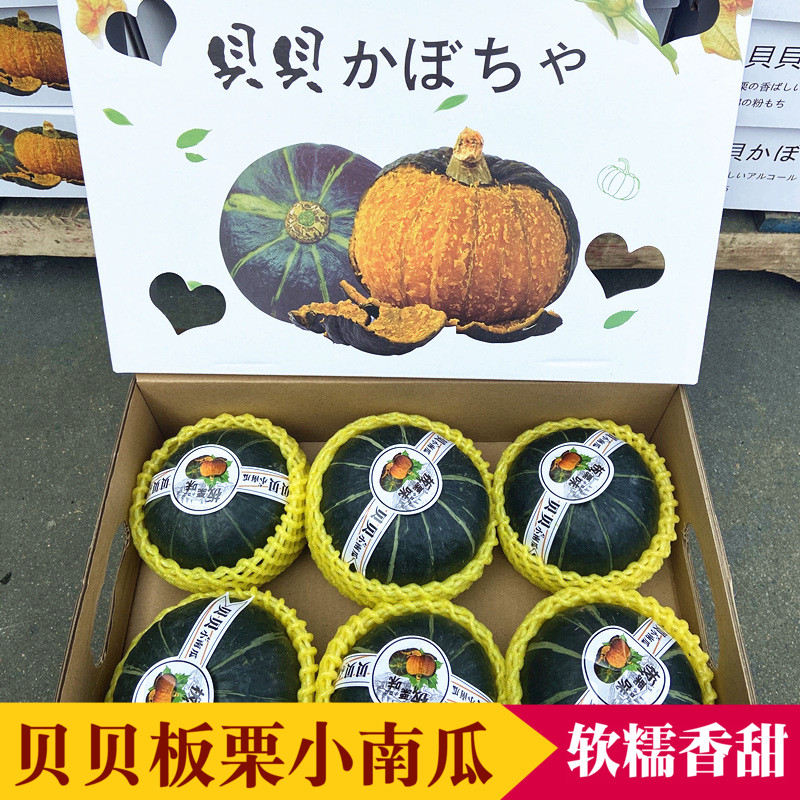 日本品种贝贝南瓜5-6个装新鲜栗子味宝宝辅食粉糯甜板栗味小南瓜
