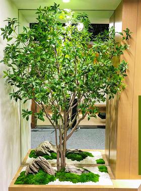 马醉木彷真绿色植物装饰植物造景室内大型落地假树景观橱窗装饰吊