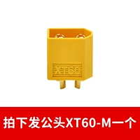 XT60-M Мужская голова