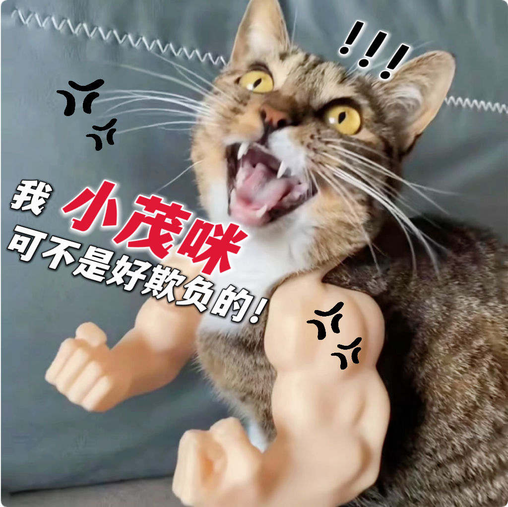 3d打印猫咪仿真肌肉模型挂脖挂件玩具恶搞宠物道具小玩意网红爆款