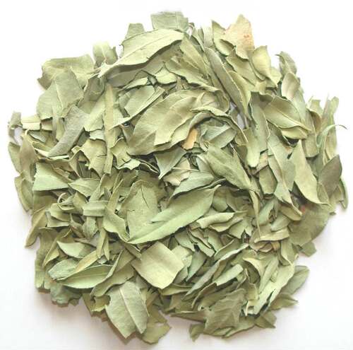 罗布麻叶 罗布麻茶叶 罗布麻泡茶 500克g 中药材