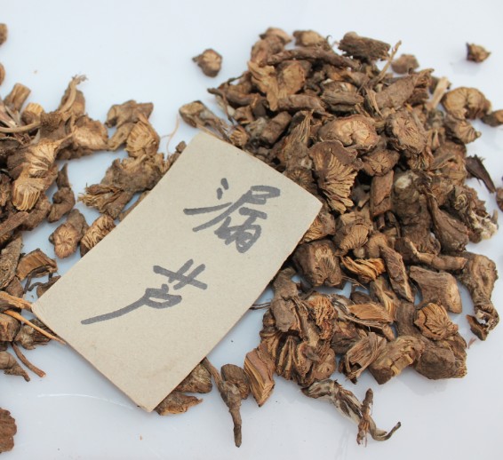 漏芦 包装 野兰 鬼油麻 漏芦片 中药材 500g克