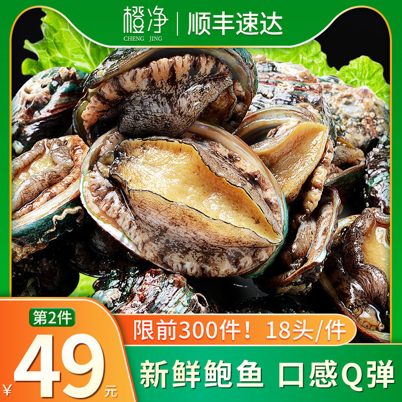 新鲜鲍鱼鲜冷冻大个鲍鱼非小鲍鱼特大即食佛跳墙鲍鱼青岛包邮60