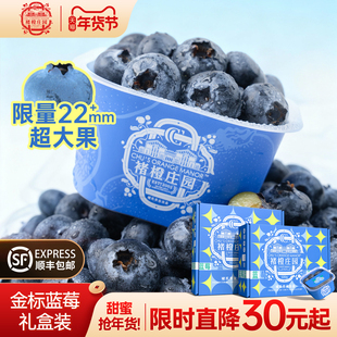 褚橙庄园蓝莓礼盒 鲜果花香大果脆甜新鲜高山水果当季现摘淘