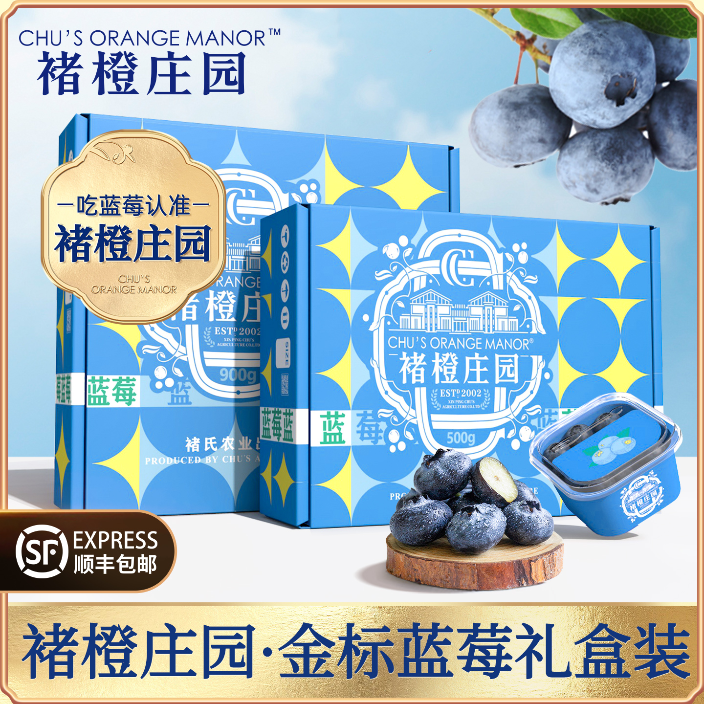 褚橙庄园蓝莓大果高端水果礼盒