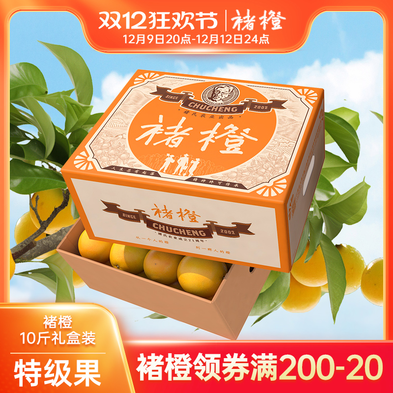 褚橙 XL果10斤礼盒 2024正品官方旗舰店橙子新鲜冰糖橙应季水果