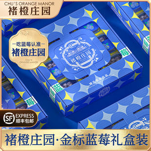 【李佳琦】褚橙庄园蓝莓礼盒 脆甜花香蓝莓大果
