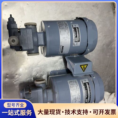 NOP油泵25P400L05-216EVK，原装进口，成色如询价