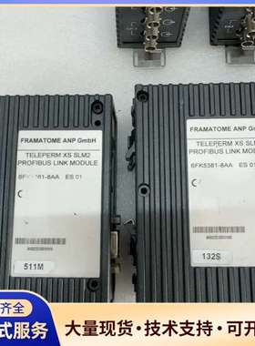 TELEPERM-XS-SLM2光电转换模6FK5381-8