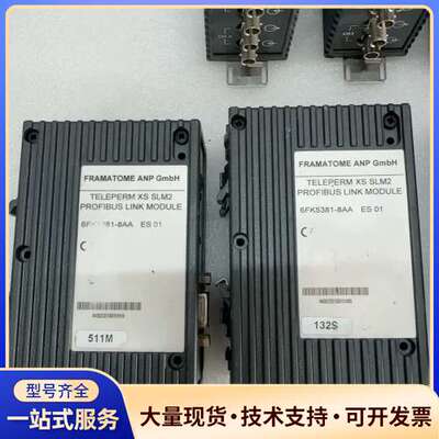 TELEPERM-XS-SLM2光电转换模6FK5381-8