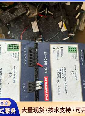 POWERLD普德新星电源DG-960-48，输入100-2