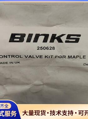 宾克斯250628控制阀维修.