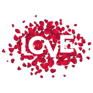 520情人节装饰玻璃贴珠宝店铺氛围布置情人节玫瑰门贴橱窗静电贴