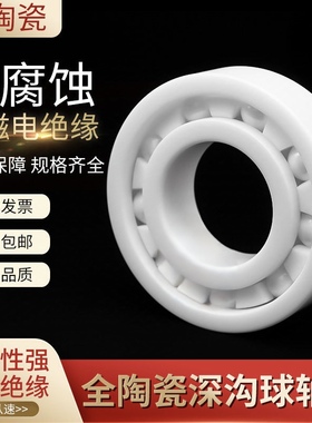 氧化锆陶瓷轴承6306 6307 6308 6309 6310 6311CE
