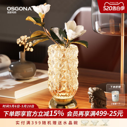 奥斯哥纳花瓶台灯轻奢氛围水晶灯