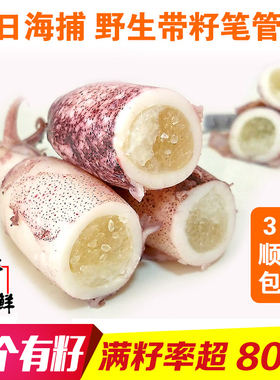丹东满籽新鲜笔管鱼海兔子全籽大籽乌鲜冻鲜活海鲜水产带籽小鱿鱼