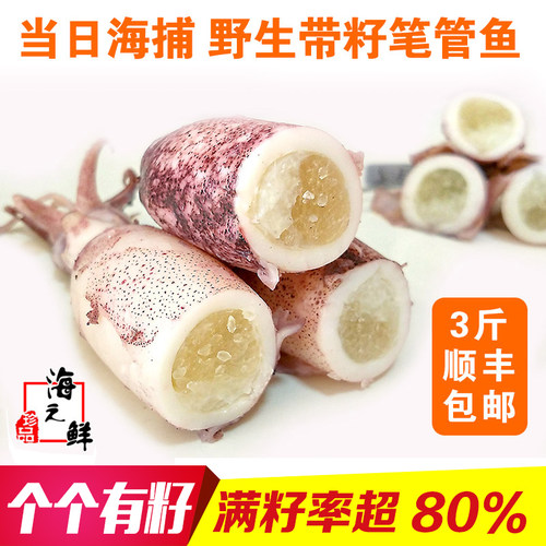 丹东特产籽乌满籽笔管鱼海兔子