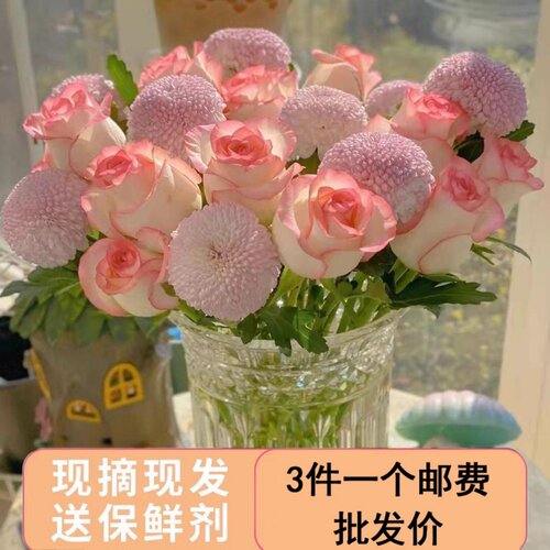 云南艾莎玫瑰水养鲜花