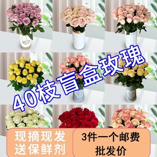 玫瑰花鲜花云南昆明基地直发新鲜批发百合鲜切花向日葵花瓶插花