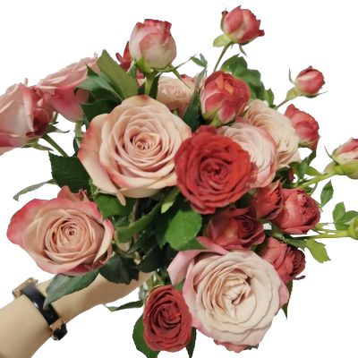 卡布奇诺玫瑰花巧克力泡泡鲜花