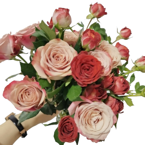 卡布奇诺玫瑰花巧克力泡泡鲜花云南斗南全国直发玫瑰混搭花束水养