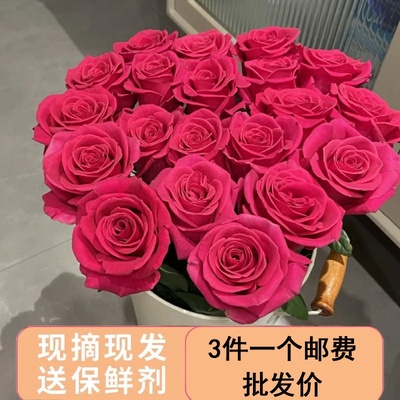 昆明鲜花品质鲜切花玫瑰家用插花