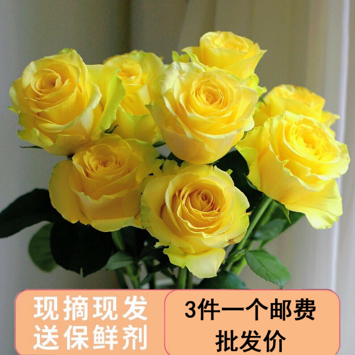 浪漫沙滩黄玫瑰家用客厅插花水培鲜切花云南基地直发图片