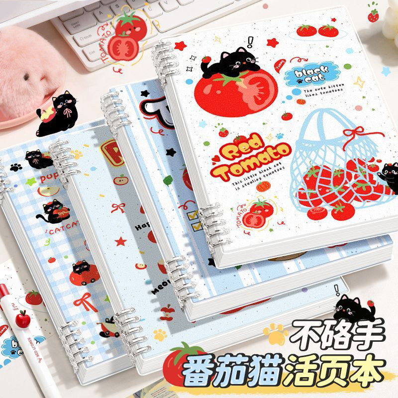 B5不硌手活页笔记本子加厚不透墨图片