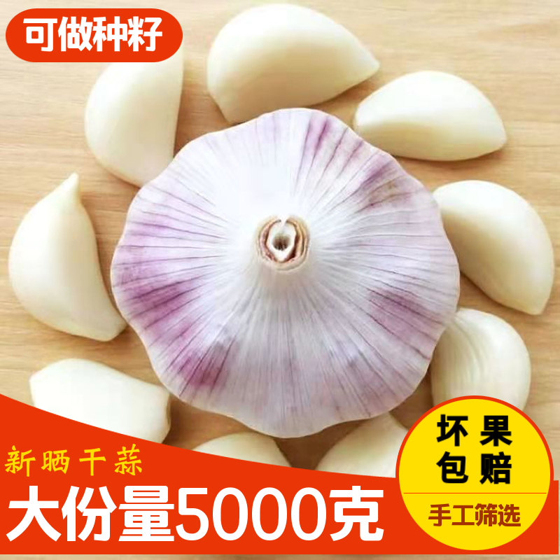 特大个头10斤装6cm河南大蒜头干大蒜头新蒜农家自种紫皮蒜大头蒜