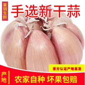 农家新干蒜大蒜头干大蒜种籽河南批发新鲜蔬菜1斤5斤9斤紫白皮蒜