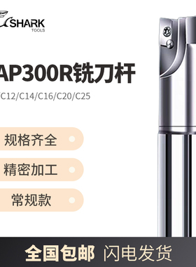 BAP300R数控1135抗震R0.8直角C10/C12/C14/C16/C20/C25飞刀铣刀杆