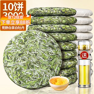 2024花香福建荒山春茶明前白牡丹太姥山脉白茶饼10饼收藏装 3000克