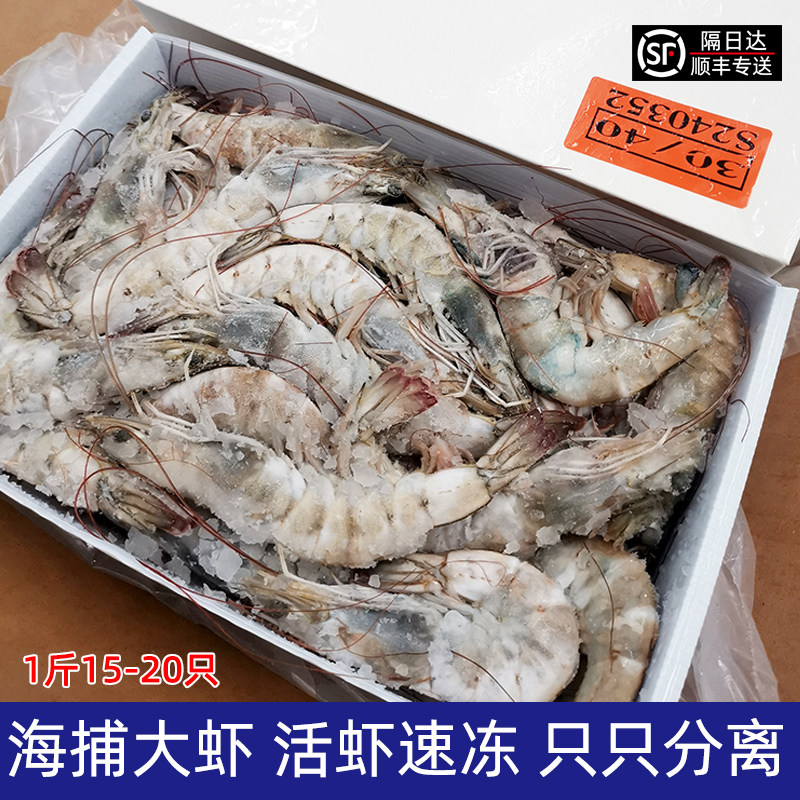 青岛大虾毛重4斤海虾对虾海捕