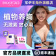 胶囊BREASTGRO宝伊丰护理胸部啤酒花胶囊135粒 1盒