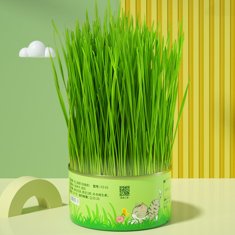 猫草种子水培猫零食除毛球化毛膏猫草种籽盆栽套装猫咪用品