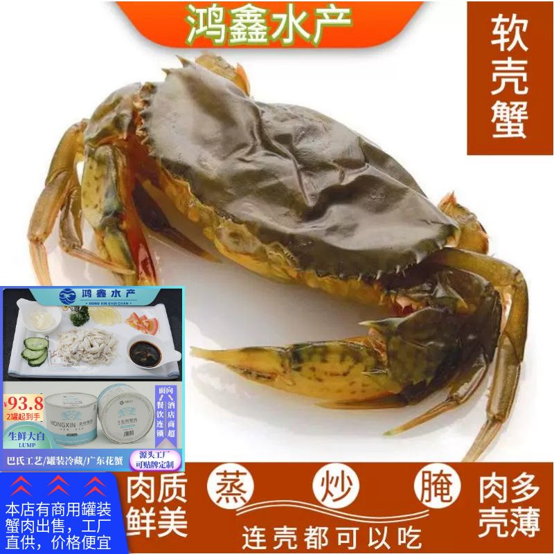 软壳蟹鲜冻蟹整只带壳进口货餐饮商用家庭食用美味小海鲜发顺丰
