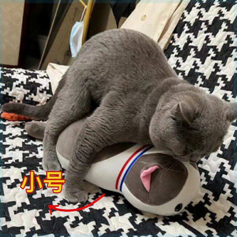 猫咪泻火玩具公猫陪伴安抚性发泄玩偶自嗨解闷宠物用陪睡神器伴侣