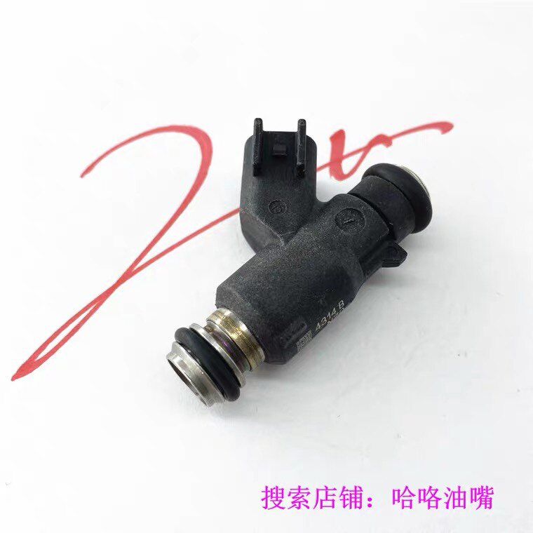 适用中华骏捷FRV ZHAKE 永源YY250-5A战豹德尔福喷油嘴 28101893