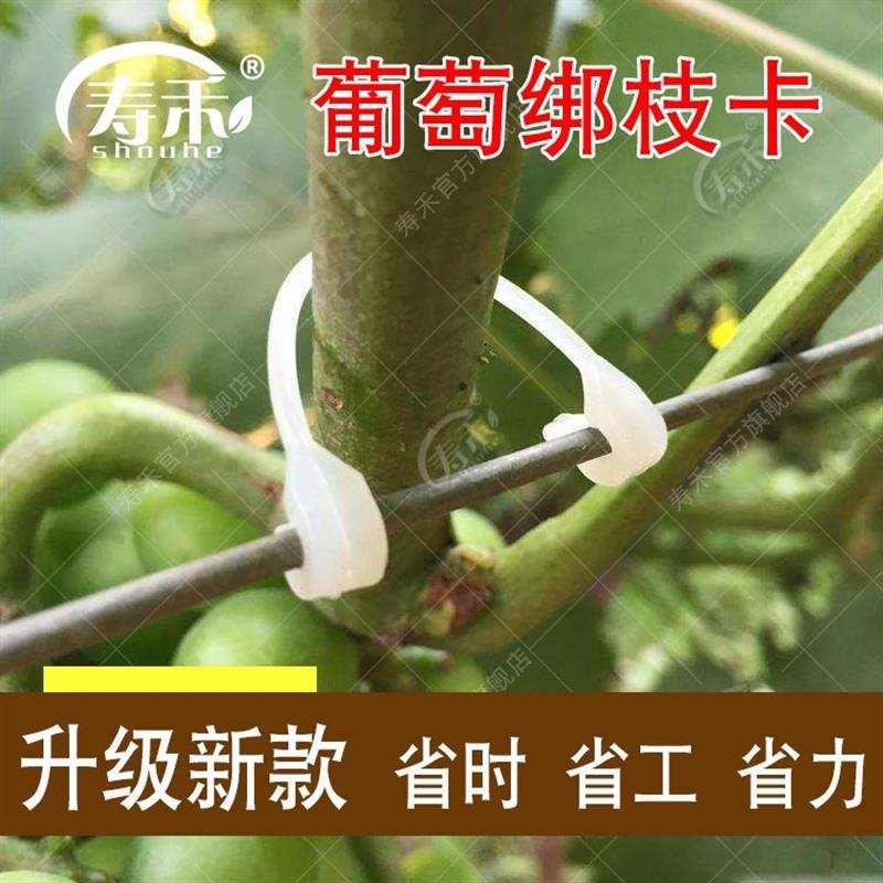 新式绑枝卡绑枝器扎丝卡扣葡萄卡子塑料绑蔓猕猴桃包邮