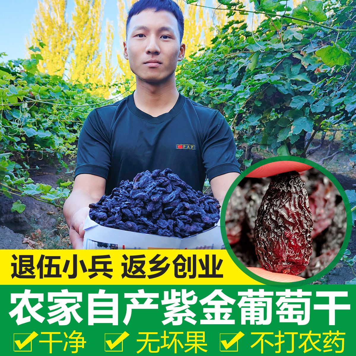 新疆特产新品紫金葡萄吐鲁番自然风干特级免洗果干500g零食葡萄干 零食/坚果/特产 葡萄干 原图主图