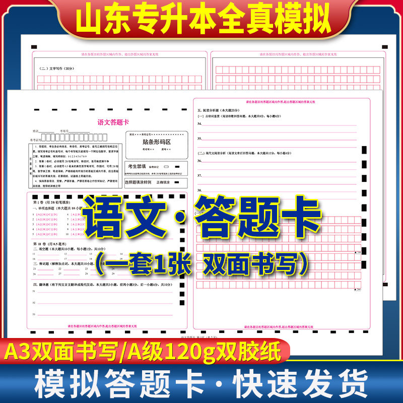 2025年山东专升本语文答题卡 120克双胶纸 A3正反规格 考前练手模拟答题纸 质量媲美